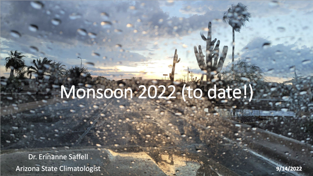 A screenshot of the DLN 2022 quarterly meeting summary showing rainy conditions as scene through the windshield of a car